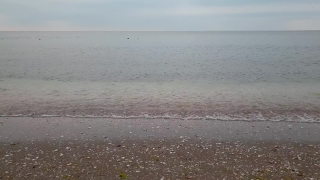 No Copyright Video, No Copyright Stock Footage, No Copyright Stock Video Clip