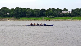 No Copyright Video, No Copyright Stock Footage, No Copyright Stock Video Clip