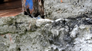 No Copyright Video, No Copyright Stock Footage, No Copyright Stock Video Clip