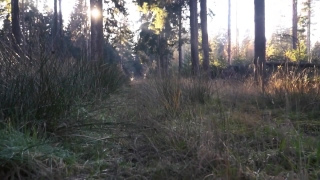 No Copyright Video, No Copyright Stock Footage, No Copyright Stock Video Clip