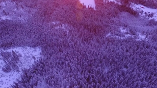 No Copyright Video, No Copyright Stock Footage, No Copyright Stock Video Clip