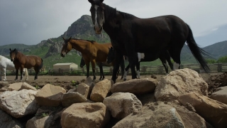 No Copyright Video, No Copyright Stock Footage, No Copyright Stock Video Clip