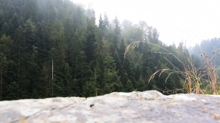 No Copyright Video, No Copyright Stock Footage, No Copyright Stock Video Clip