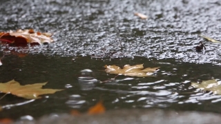 No Copyright Video, No Copyright Stock Footage, No Copyright Stock Video Clip