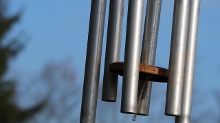 No Copyright Video, No Copyright Stock Footage, No Copyright Stock Video Clip