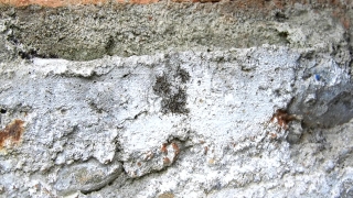 No Copyright Video, No Copyright Stock Footage, No Copyright Stock Video Clip