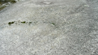 No Copyright Video, No Copyright Stock Footage, No Copyright Stock Video Clip