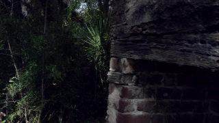 No Copyright Video, No Copyright Stock Footage, No Copyright Stock Video Clip