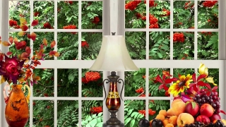 No Copyright Video, No Copyright Stock Footage, No Copyright Stock Video Clip