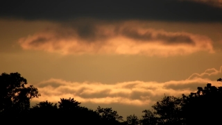 No Copyright Video, No Copyright Stock Footage, No Copyright Stock Video Clip