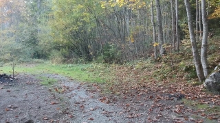 No Copyright Video, No Copyright Stock Footage, No Copyright Stock Video Clip