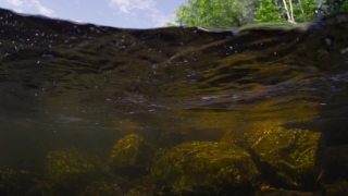 No Copyright Video, No Copyright Stock Footage, No Copyright Stock Video Clip