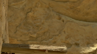 No Copyright Video, No Copyright Stock Footage, No Copyright Stock Video Clip