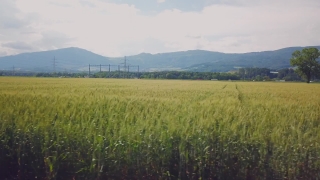 No Copyright Video, No Copyright Stock Footage, No Copyright Stock Video Clip