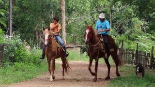 No Copyright Video, No Copyright Stock Footage, No Copyright Stock Video Clip