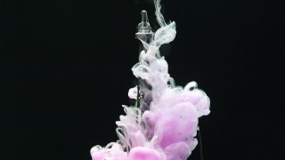 No Copyright Video, No Copyright Stock Footage, No Copyright Stock Video Clip