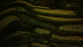 No Copyright Video, No Copyright Stock Footage, No Copyright Stock Video Clip