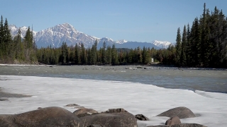 No Copyright Video, No Copyright Stock Footage, No Copyright Stock Video Clip