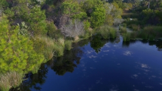 No Copyright Video, No Copyright Stock Footage, No Copyright Stock Video Clip