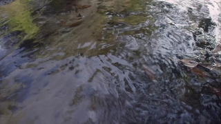 No Copyright Video, No Copyright Stock Footage, No Copyright Stock Video Clip