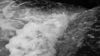 No Copyright Video, No Copyright Stock Footage, No Copyright Stock Video Clip