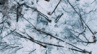 No Copyright Video, No Copyright Stock Footage, No Copyright Stock Video Clip