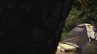 No Copyright Video, No Copyright Stock Footage, No Copyright Stock Video Clip