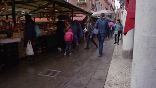 No Copyright Video, No Copyright Stock Footage, No Copyright Stock Video Clip