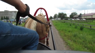 No Copyright Video, No Copyright Stock Footage, No Copyright Stock Video Clip