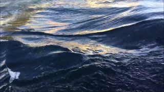 No Copyright Video, No Copyright Stock Footage, No Copyright Stock Video Clip