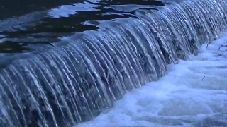 No Copyright Video, No Copyright Stock Footage, No Copyright Stock Video Clip