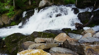 No Copyright Video, No Copyright Stock Footage, No Copyright Stock Video Clip