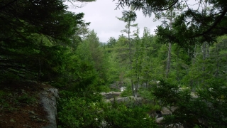 No Copyright Video, No Copyright Stock Footage, No Copyright Stock Video Clip