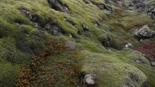 No Copyright Video, No Copyright Stock Footage, No Copyright Stock Video Clip