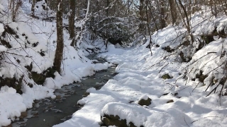 No Copyright Video, No Copyright Stock Footage, No Copyright Stock Video Clip