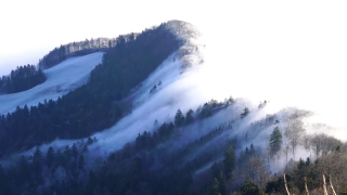 No Copyright Video, No Copyright Stock Footage, No Copyright Stock Video Clip