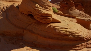 No Copyright Video, No Copyright Stock Footage, No Copyright Stock Video Clip