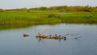 No Copyright Video, No Copyright Stock Footage, No Copyright Stock Video Clip