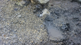 No Copyright Video, No Copyright Stock Footage, No Copyright Stock Video Clip