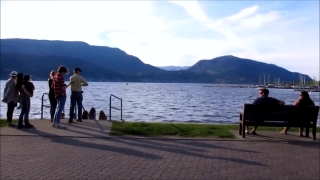 No Copyright Video, No Copyright Stock Footage, No Copyright Stock Video Clip