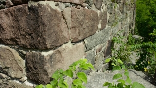 No Copyright Video, No Copyright Stock Footage, No Copyright Stock Video Clip