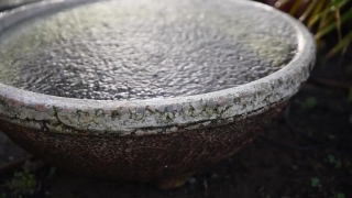 No Copyright Video, No Copyright Stock Footage, No Copyright Stock Video Clip