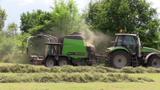 No Copyright Video, No Copyright Stock Footage, No Copyright Stock Video Clip