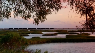 No Copyright Video, No Copyright Stock Footage, No Copyright Stock Video Clip