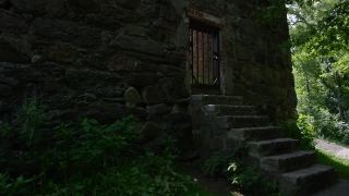 No Copyright Video, No Copyright Stock Footage, No Copyright Stock Video Clip