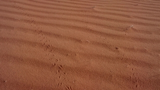 No Copyright Video, No Copyright Stock Footage, No Copyright Stock Video Clip