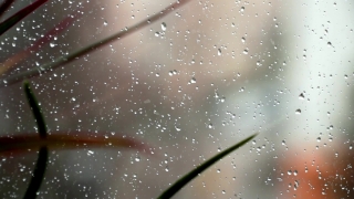 No Copyright Video, No Copyright Stock Footage, No Copyright Stock Video Clip