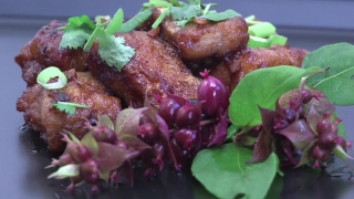 No Copyright Video, No Copyright Stock Footage, No Copyright Stock Video Clip