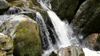 No Copyright Video, No Copyright Stock Footage, No Copyright Stock Video Clip