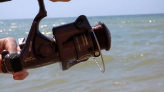 No Copyright Video, No Copyright Stock Footage, No Copyright Stock Video Clip